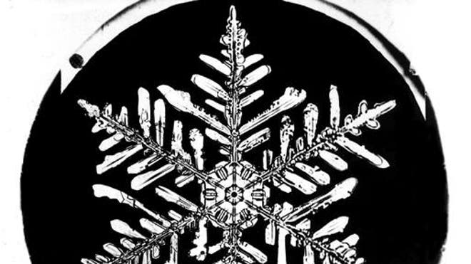 Bentley's Snowflakes
